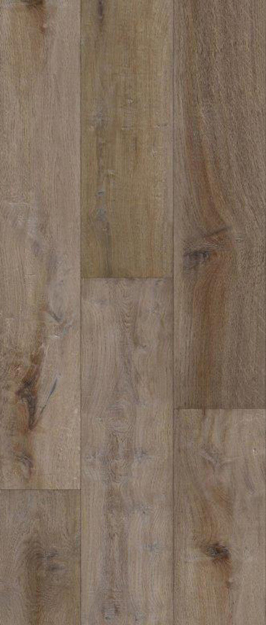 Riding Mountain - Ominik