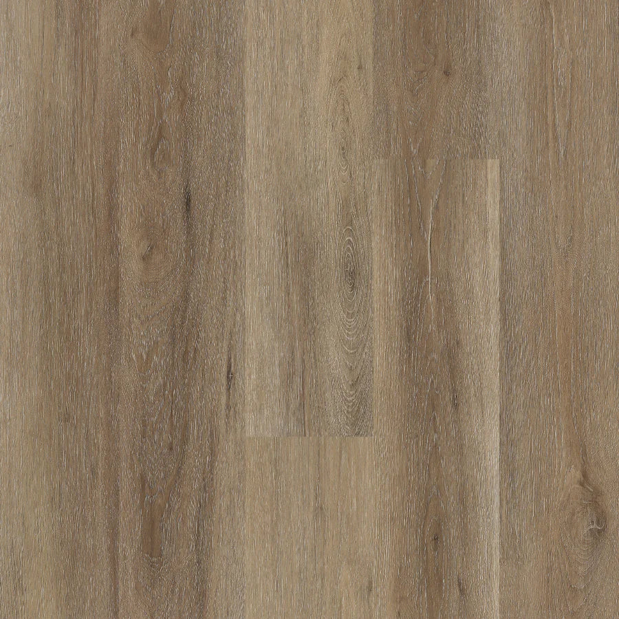 Traktion - Afterburn