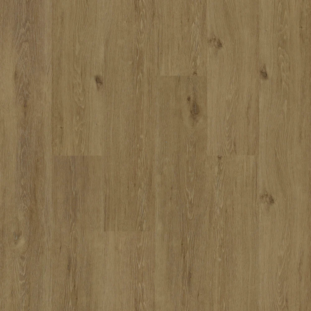 Hydrogen 5 - Gold Coast