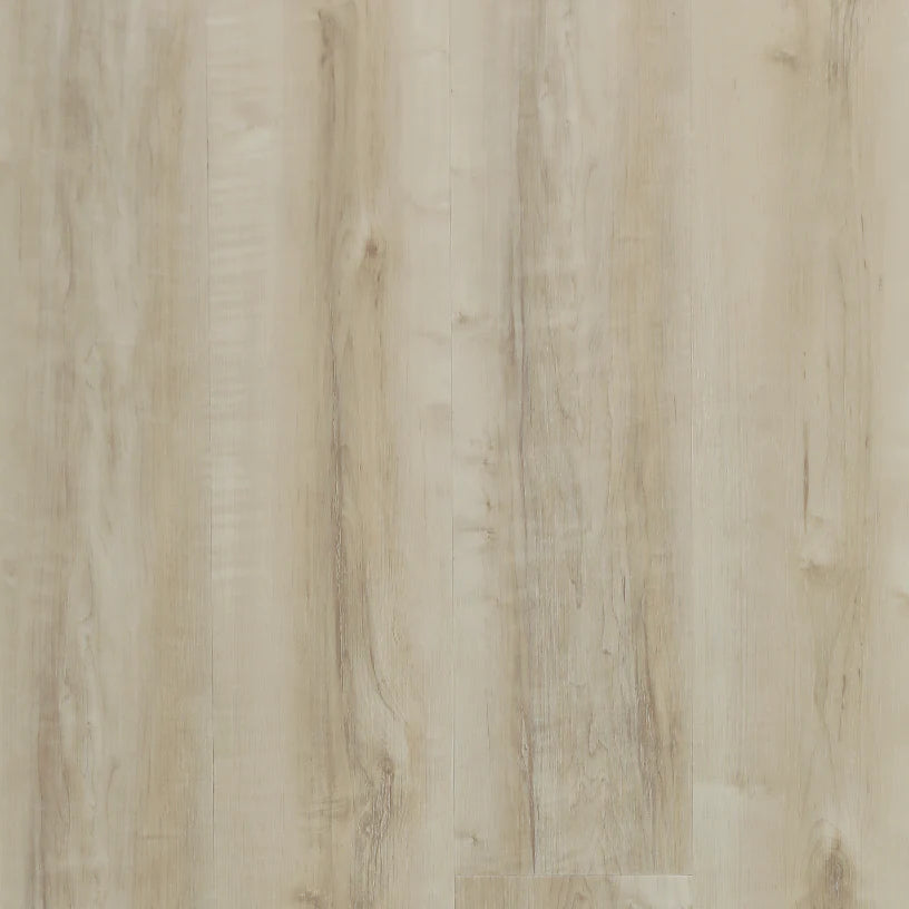 Hydrogen 6 - Lily Canvas