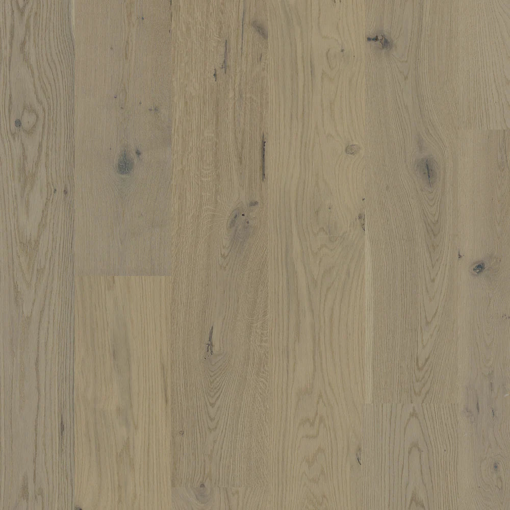 European Oak - Sandy Dream