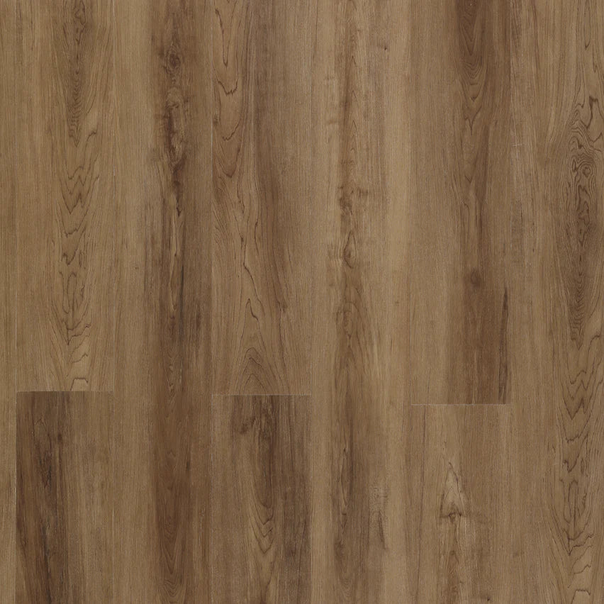 Hydrogen 6 - Playful Otter