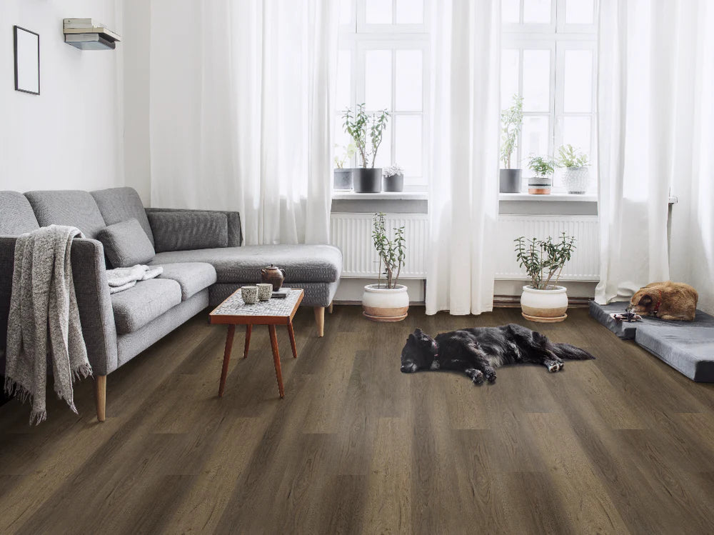 Riptide - Black Pearl