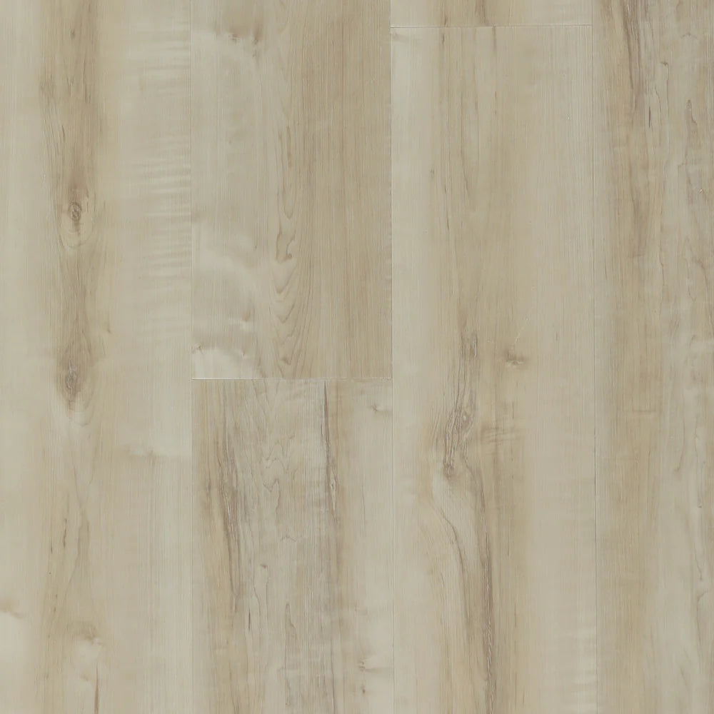 Hydrogen Pro - Lily Canvas