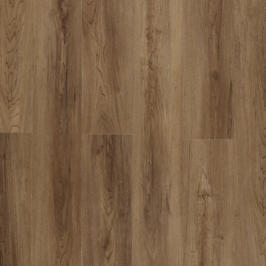 Hydrogen Pro - Playful Otter