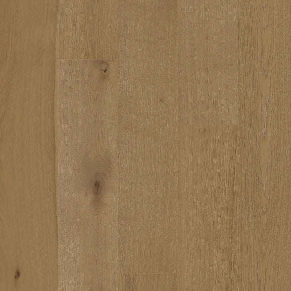 European Oak - Desert Ark