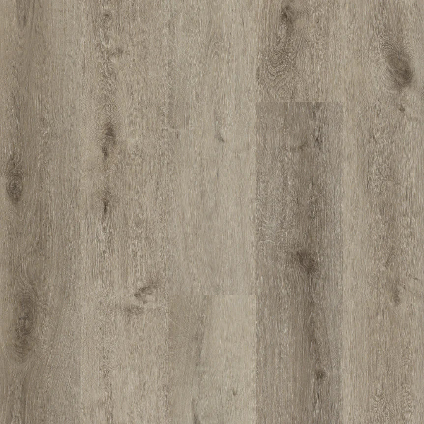 Traktion - Silverbolt