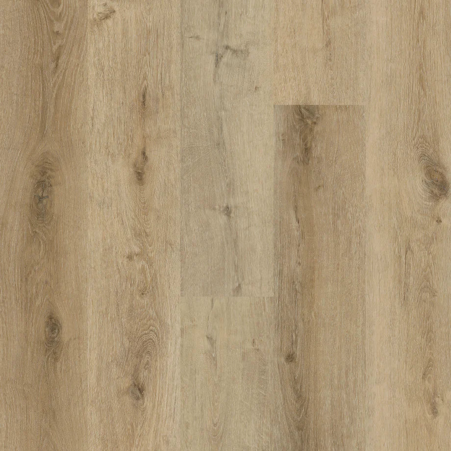 Traktion - Trailbreak